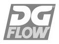 DGflow